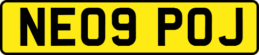 NE09POJ