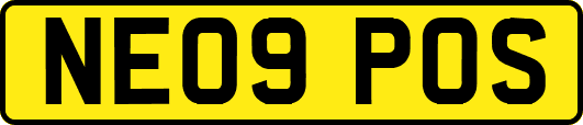 NE09POS