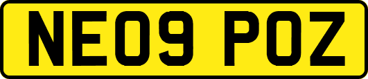 NE09POZ