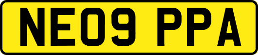 NE09PPA