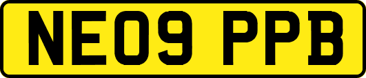 NE09PPB