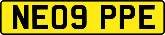 NE09PPE