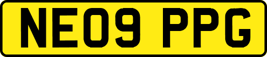 NE09PPG