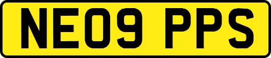 NE09PPS