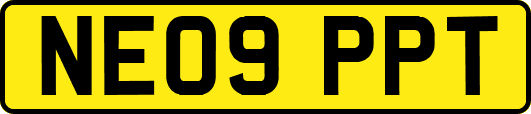 NE09PPT