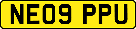 NE09PPU