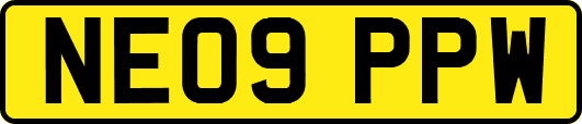NE09PPW