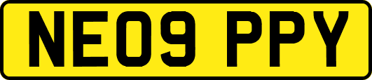NE09PPY
