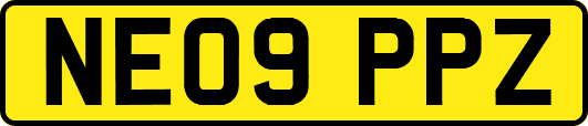 NE09PPZ