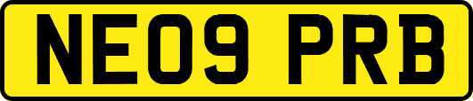 NE09PRB