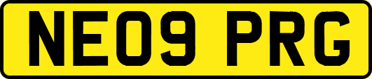 NE09PRG