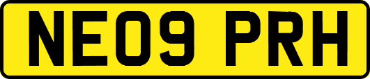 NE09PRH