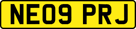 NE09PRJ