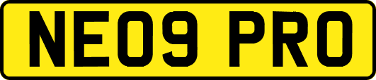 NE09PRO