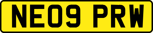 NE09PRW