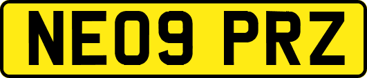 NE09PRZ