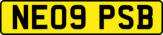 NE09PSB