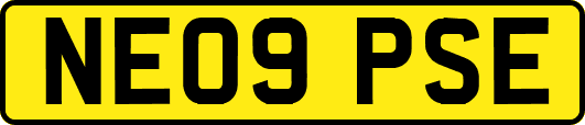 NE09PSE