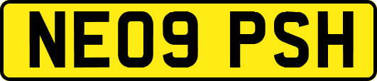 NE09PSH