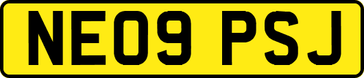 NE09PSJ