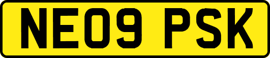NE09PSK