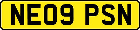 NE09PSN