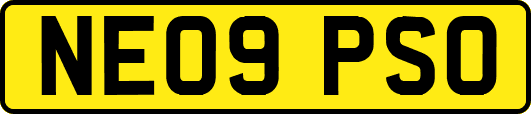NE09PSO