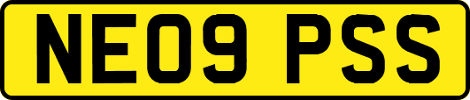 NE09PSS