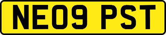 NE09PST