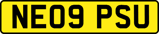 NE09PSU