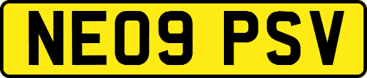 NE09PSV