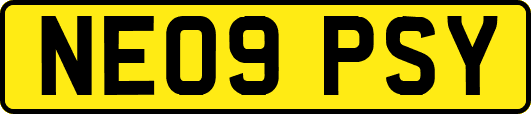NE09PSY