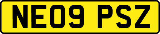 NE09PSZ
