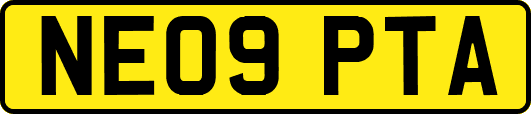 NE09PTA