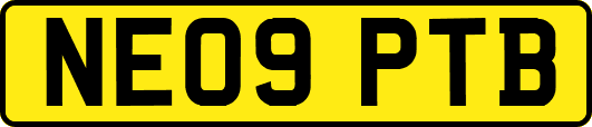 NE09PTB