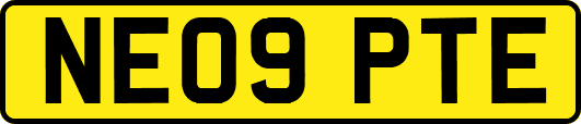 NE09PTE
