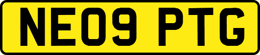 NE09PTG
