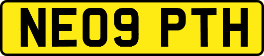 NE09PTH