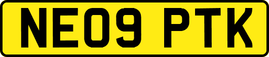 NE09PTK