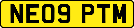 NE09PTM
