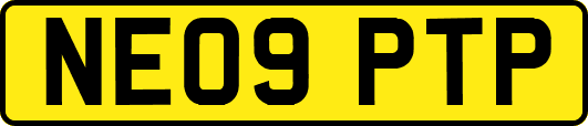 NE09PTP