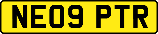 NE09PTR