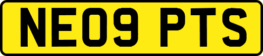 NE09PTS