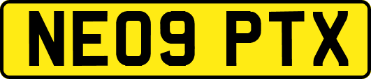 NE09PTX