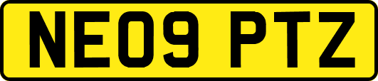 NE09PTZ