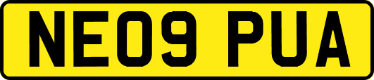 NE09PUA