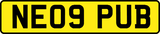 NE09PUB