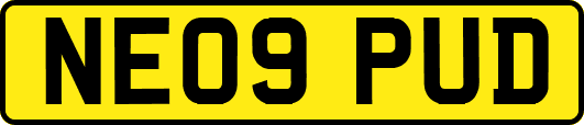 NE09PUD