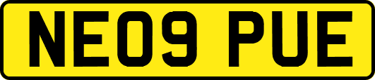 NE09PUE