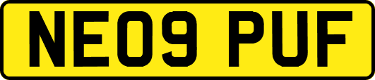 NE09PUF